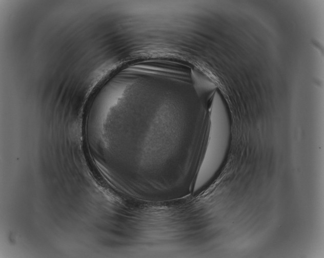 X0000091290438200708311320