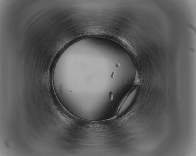 X0000091290439200708311320