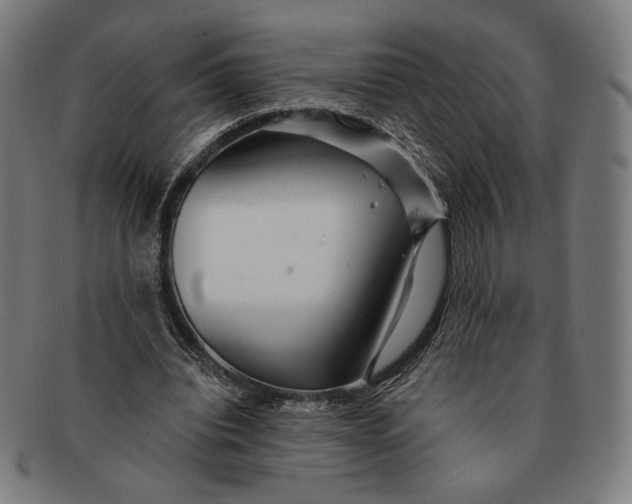 X0000091290440200708311320