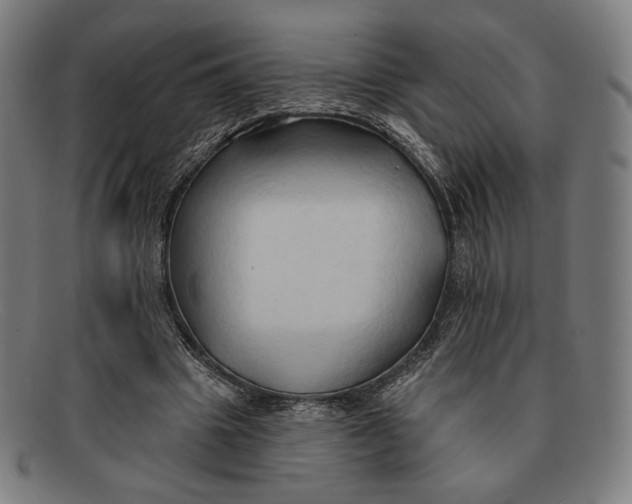 X0000091290441200708311320