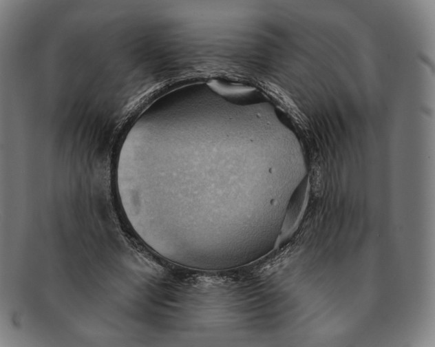 X0000091290442200708311320