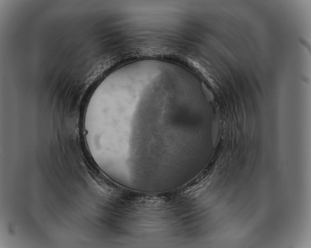 X0000091290443200708311320