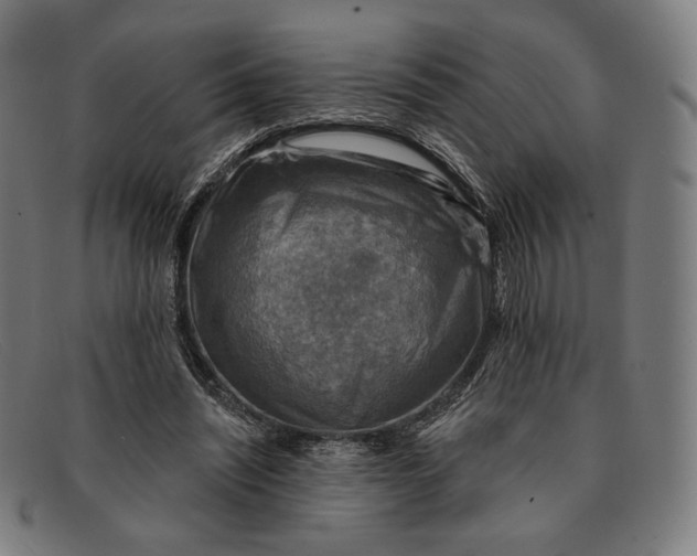 X0000091290444200708311320