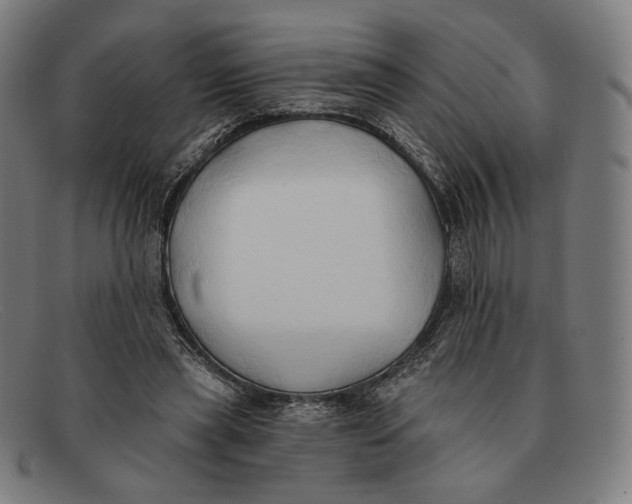 X0000091290445200708311320