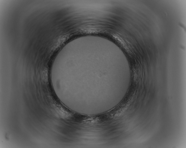 X0000091290447200708311321