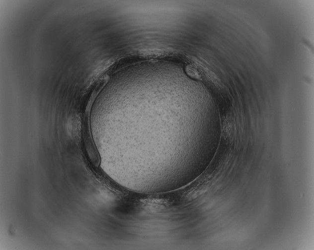 X0000091290448200708311321