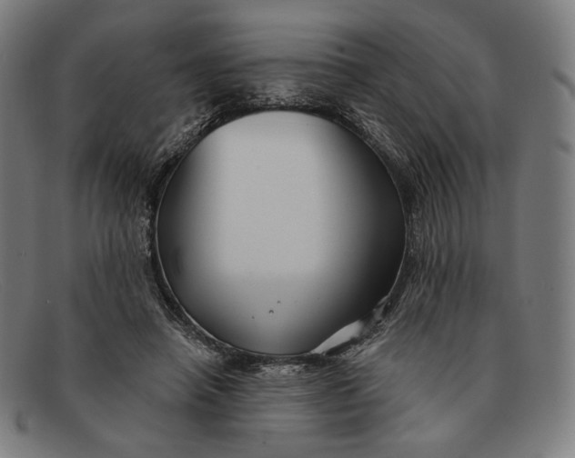 X0000091290450200708311321