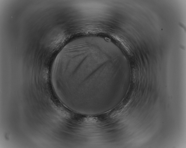 X0000091290451200708311321