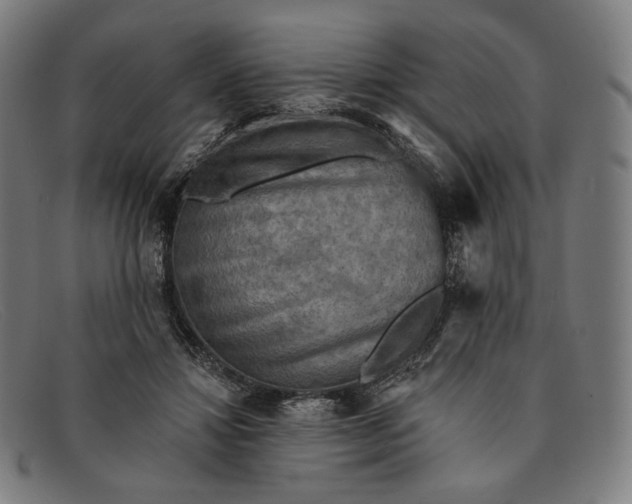 X0000091290452200708311321