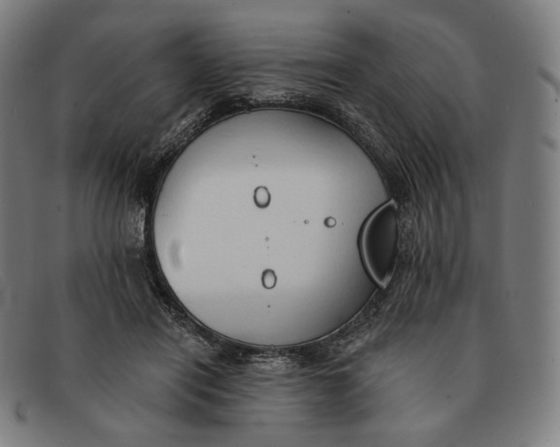 X0000091290454200708311321