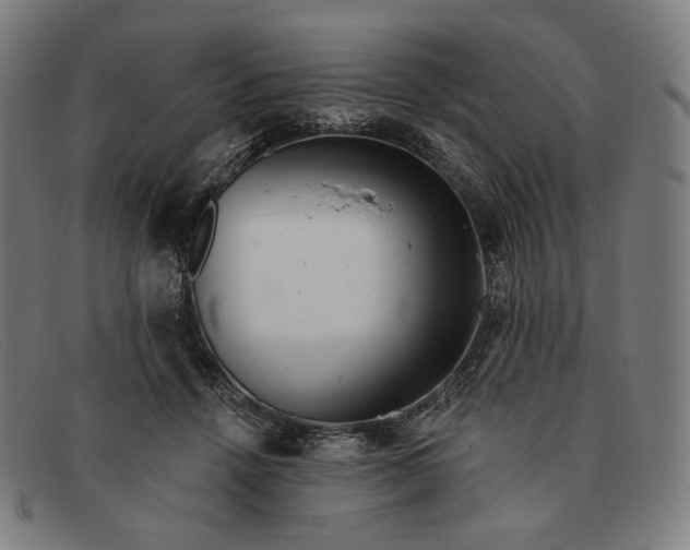 X0000091290456200708311321