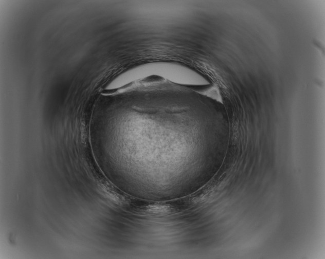 X0000091290457200708311321