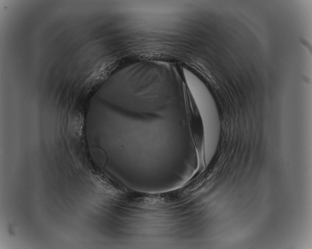 X0000091290458200708311321