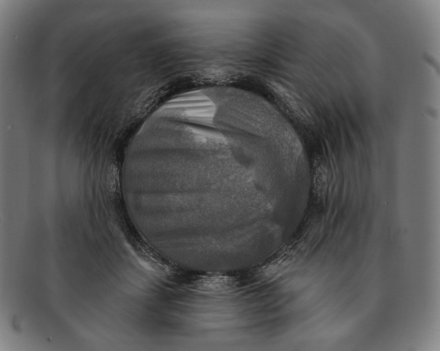 X0000091290459200708311321