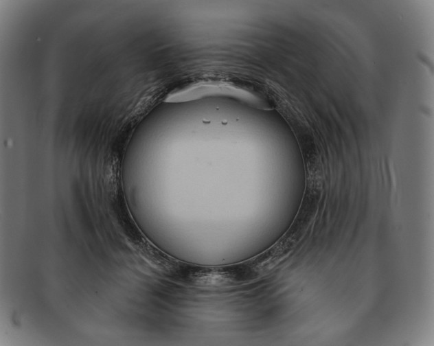 X0000091290460200708311321