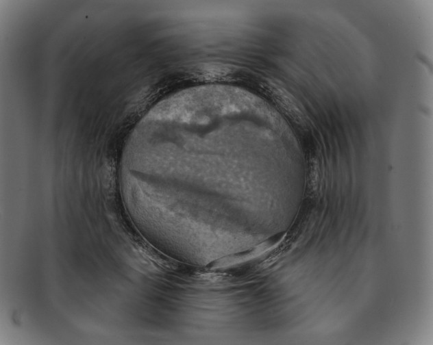 X0000091290461200708311321