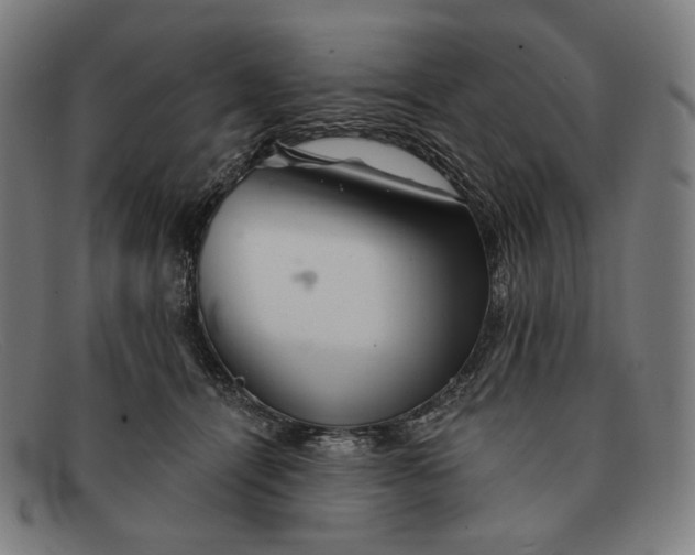 X0000091290464200708311321