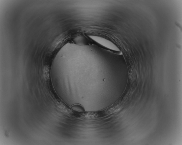 X0000091290466200708311321