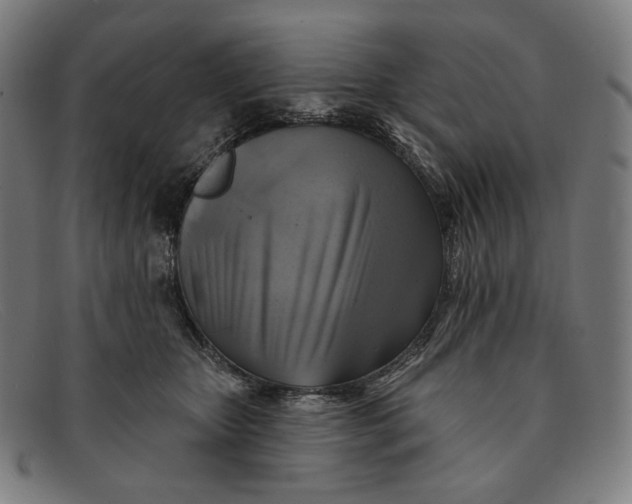 X0000091290467200708311321