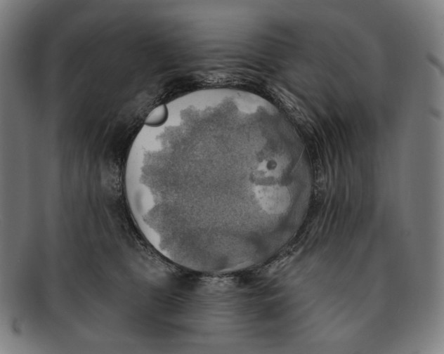 X0000091290469200708311321