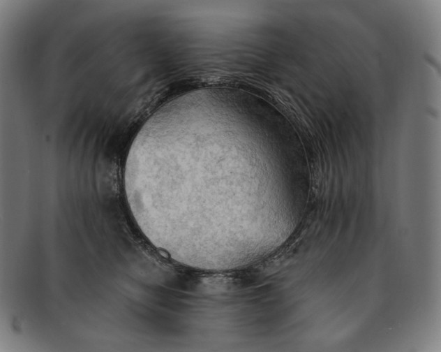 X0000091290470200708311321