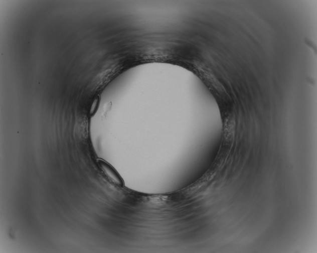 X0000091290474200708311321