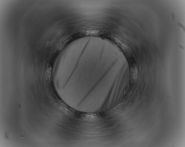 X0000091290475200708311321