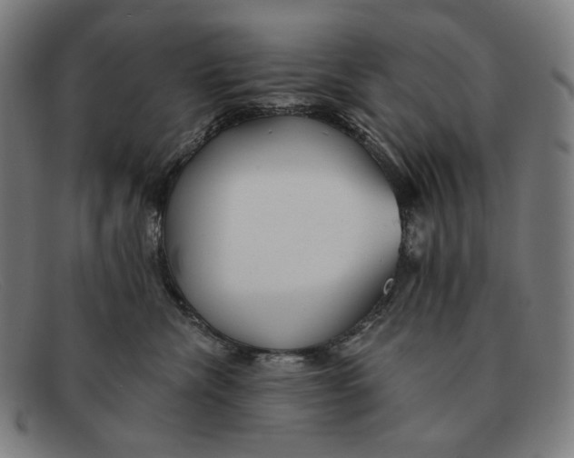 X0000091290476200708311321