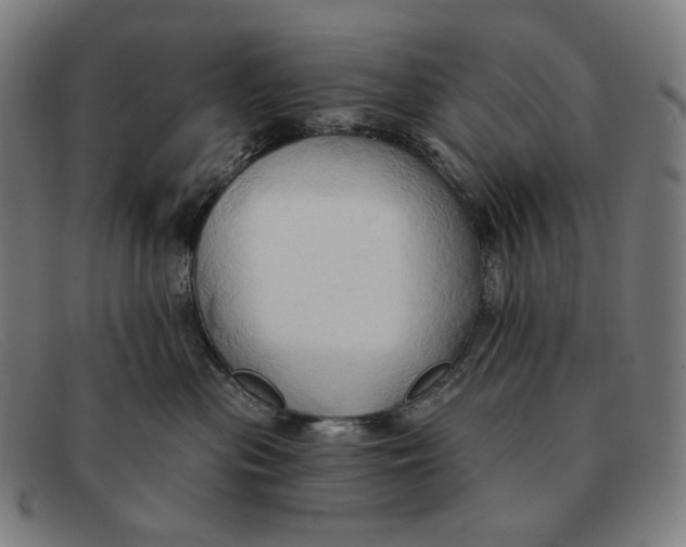 X0000091290477200708311321