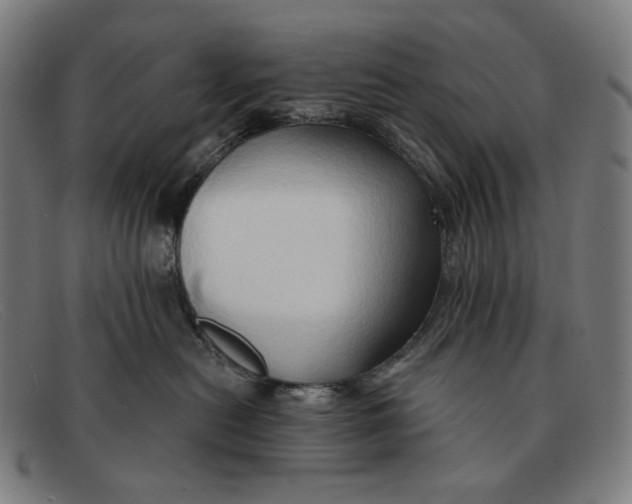 X0000091290478200708311321