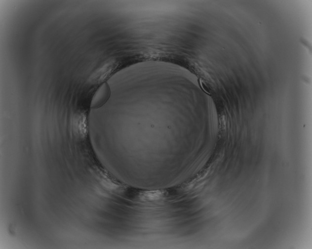 X0000091290479200708311321