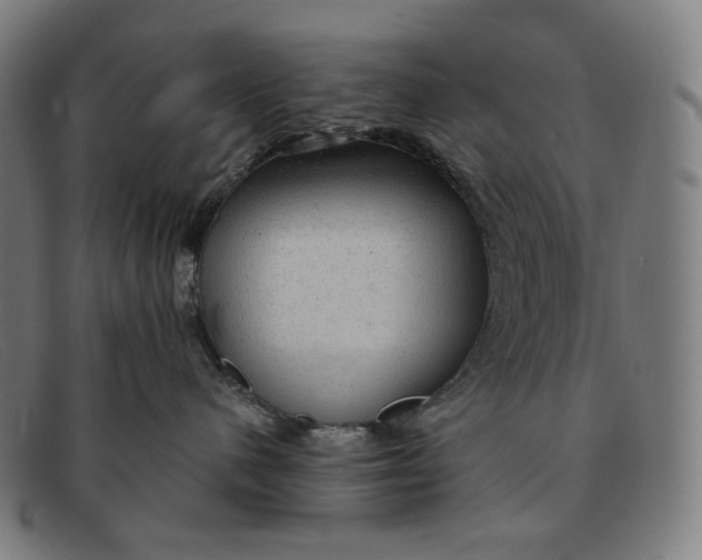 X0000091290480200708311321