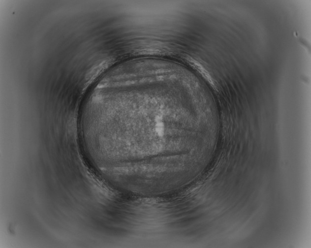 X0000091290482200708311320