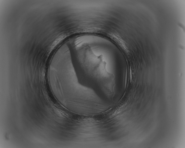 X0000091290483200708311320