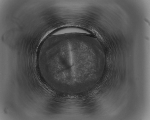 X0000091290484200708311320