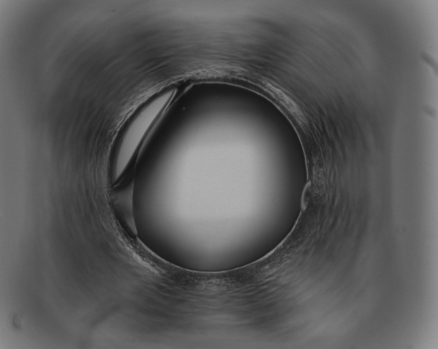 X0000091290485200708311320