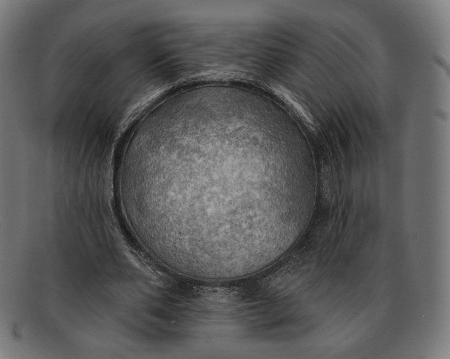 X0000091290486200708311320