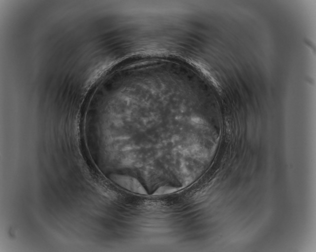 X0000091290487200708311320