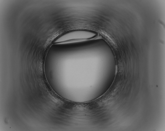 X0000091290489200708311320