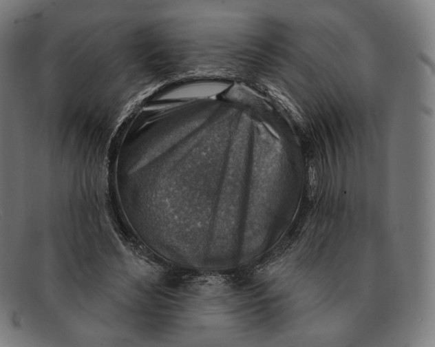 X0000091290492200708311320