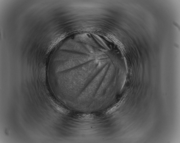 X0000091290493200708311320