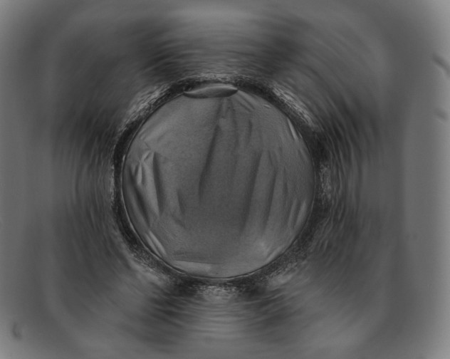 X0000091290494200708311320