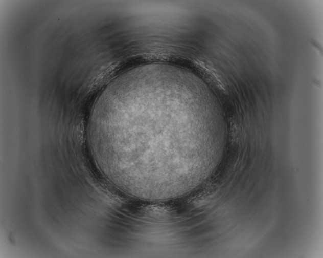 X0000091290498200708311320