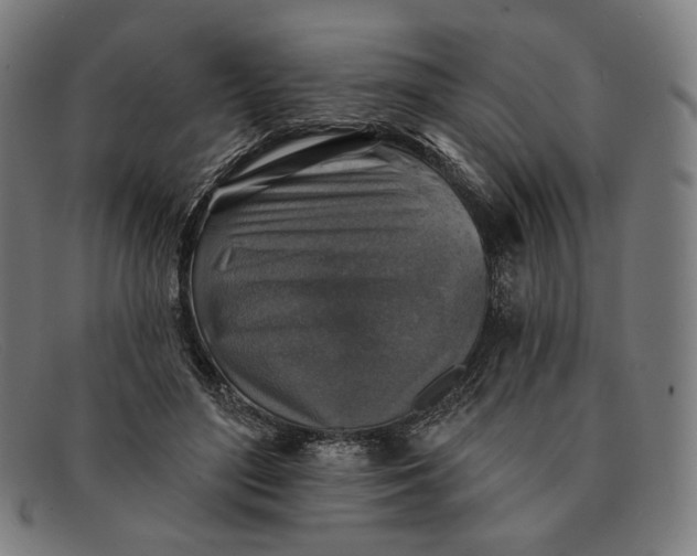 X0000091290500200708311320