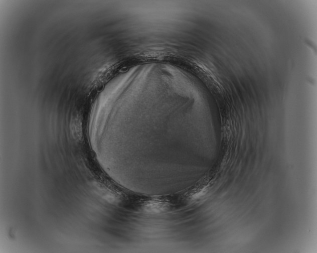 X0000091290504200708311320