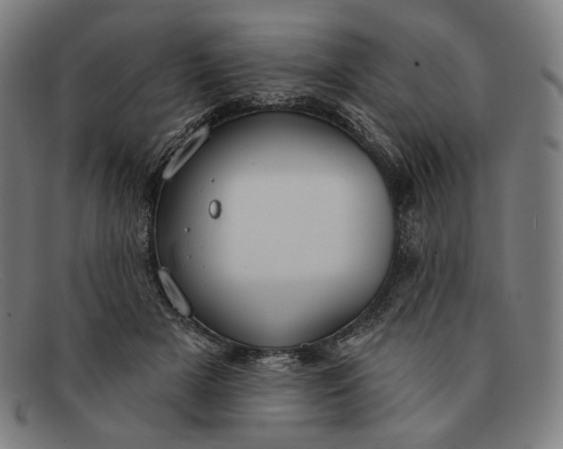 X0000091290505200708311320