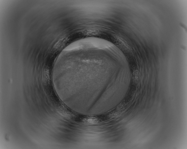 X0000091290506200708311320