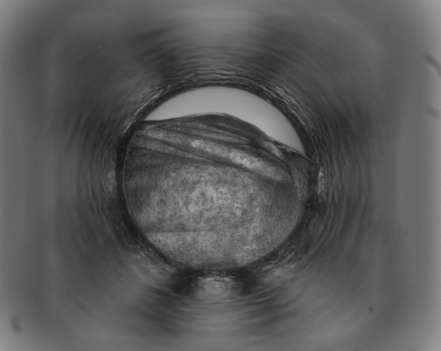 X0000091290508200708311320