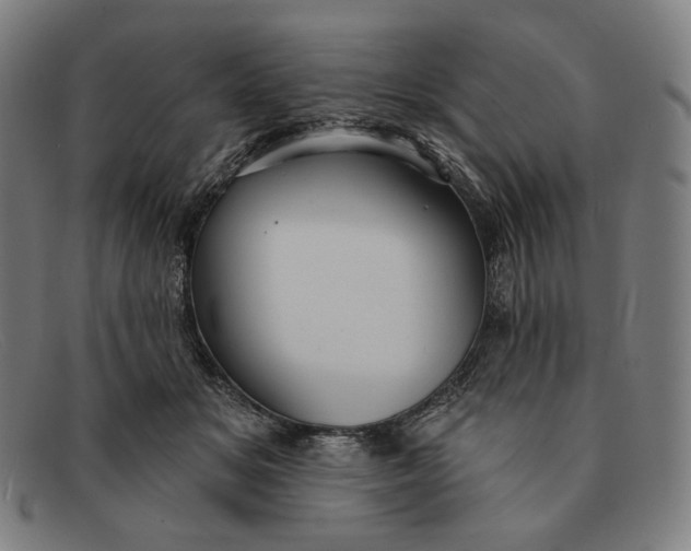 X0000091290509200708311320