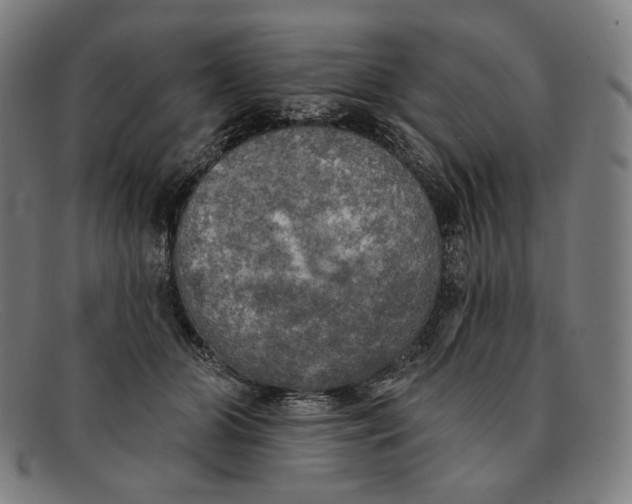 X0000091290510200708311320